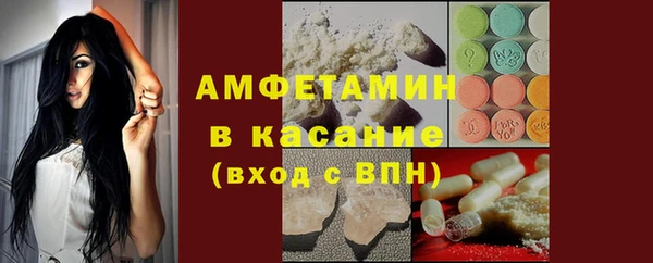 гашик Вяземский